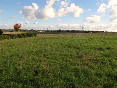 Site - 2