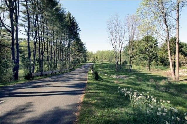 Land For Sale: 2 Pinefield Lane