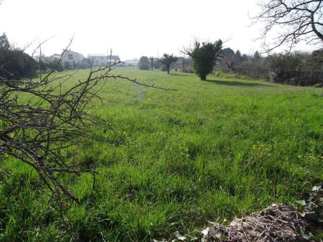 Off-Plan For Sale: 79000 NIORT - 2