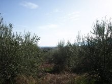Crete Plot For Sale - 2
