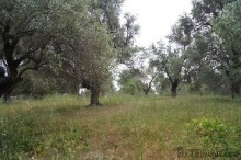 Property For Sale Crete Rethymnon