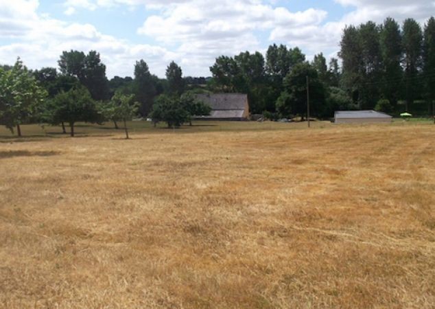Fully Renovated, New Stables, Land.. - 2