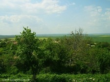 Regulated plot of land suitable for.. - 2