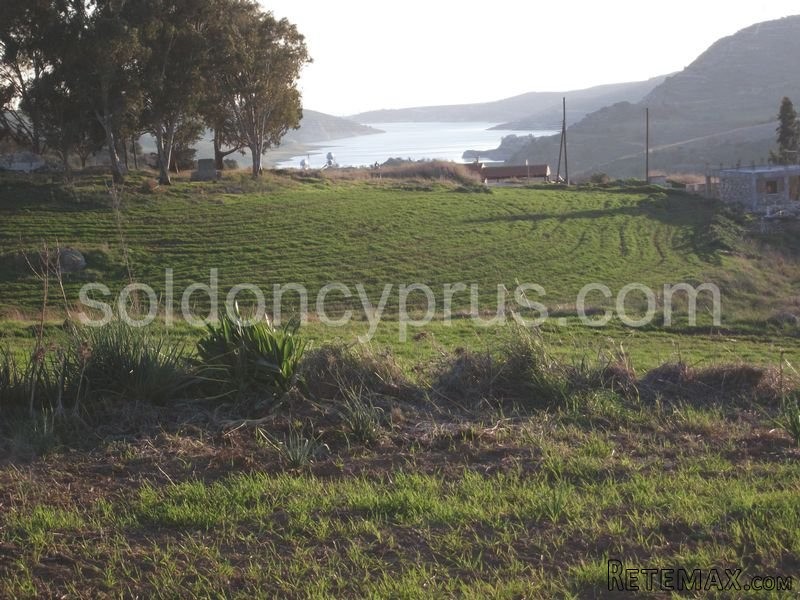 - Land - Paphos - For Sale - 2