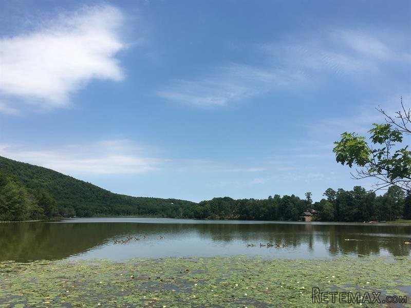 Land For Sale: Lake Rd Pine Plains NY..