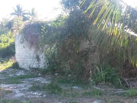 Singlefamilyvacant - Lot#2 - All that..