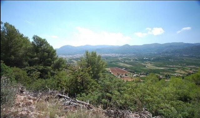 Plot For Sale Pego - Ref: 2378 - 2