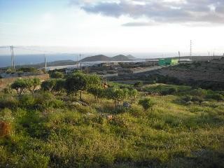 Plot in Chimiche