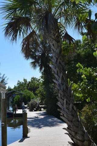 Land For Sale: 45 Vip Island - 2