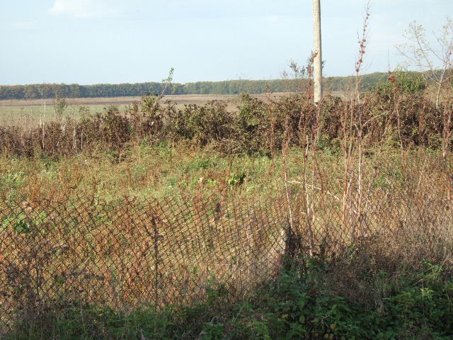 Land in Sokolovo, Balchik - 2