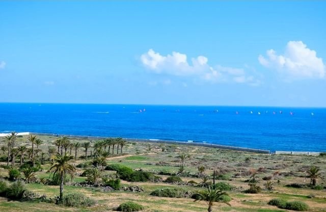 Large 3 Bedroom Penthouse Apartment In.. - 2