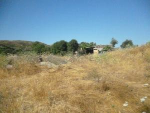 Puerto de Alcúdia, plot with licence..