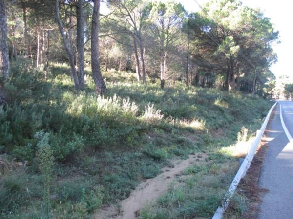 RUSTIC LAND IN BEGUR