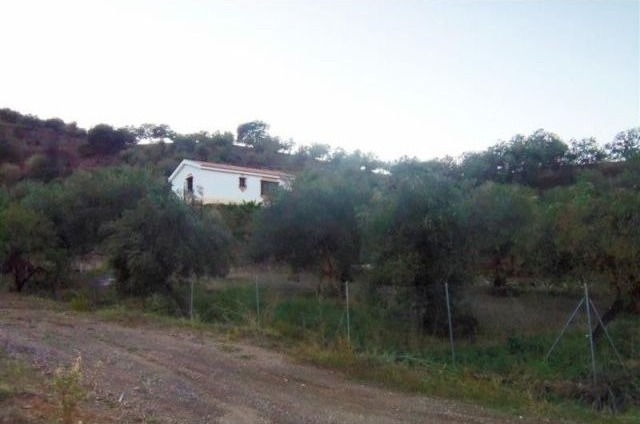 Land - Plot of rustic land with a newly.. - 2