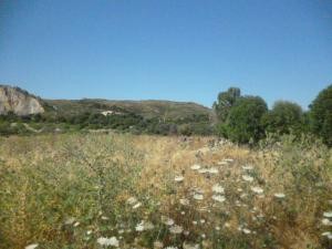 Puerto de Alcúdia, plot with licence.. - 2