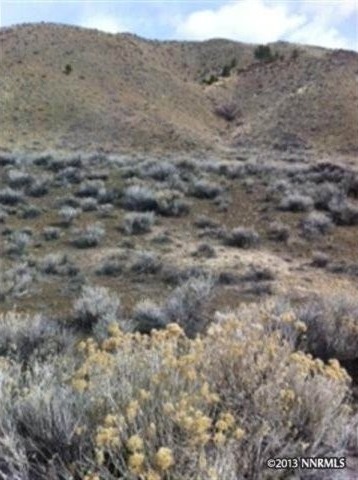 Land For Sale: Verdi, Nevada