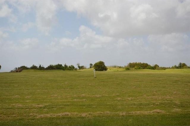 Property For Sale: Apes Hill, Cabbage.. - 2