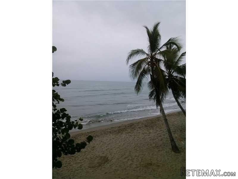 3901 South Ocean Dr, Unit 5p.. - 2