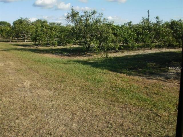 Land For Sale: 10518 & 10576 County.. - 2