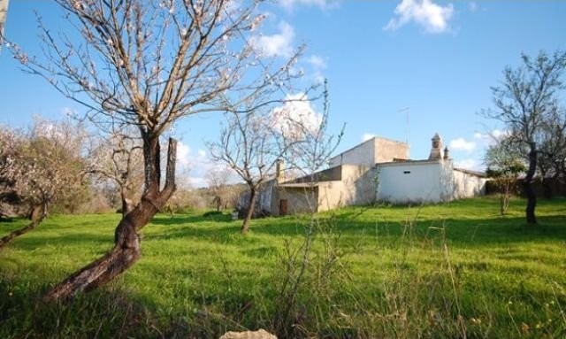 Plot with 3 acres (1,2 hectares).. - 2