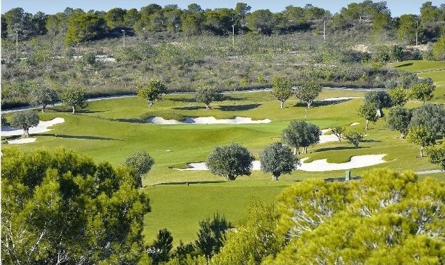 Plots for sale in Campoamor