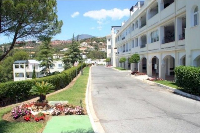 Fully Renovated 3 Bedroom Apartment in..