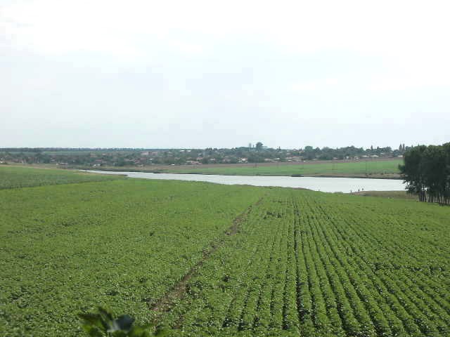 Land in Dobrich