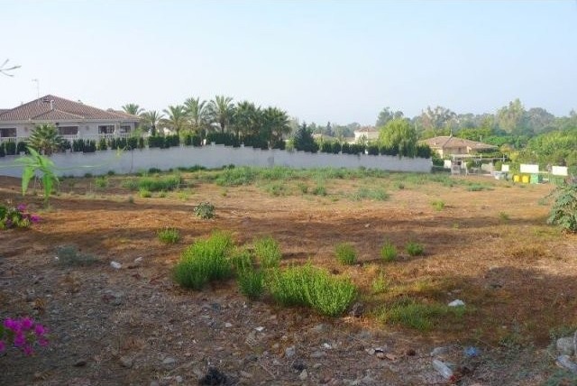 Large Corner plot in Guadalmina..