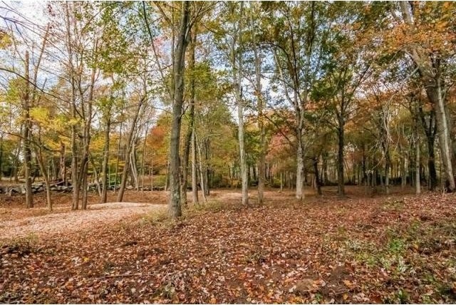 Land For Sale: Greenwich, Connecticut - 2