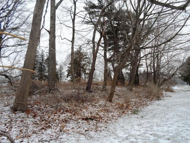 Land For Sale: Elmsford, New York - 2
