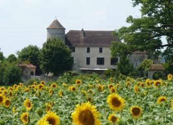 DORDOGNE chateau 14 eme siecle of 441 m2