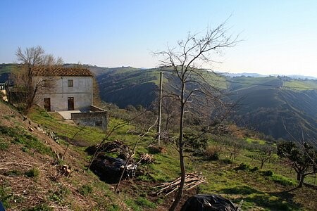 Stunning detached property to restore..