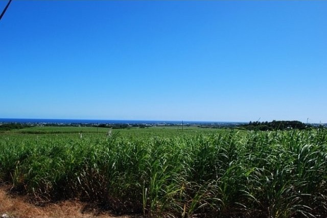 Property For Sale: Mount Pleasant Lots.. - 2
