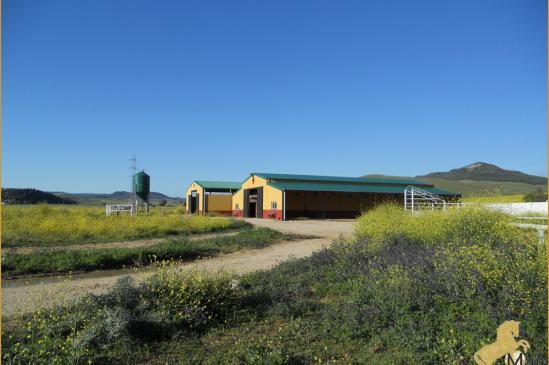Finca fur professionelles..