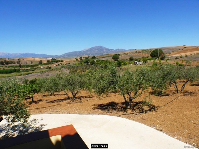 Finca for sale in Coin, Malaga, Spain - 2
