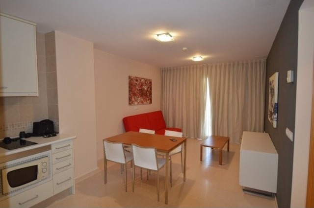 1 Bedroom 1 Bathroom Modern Apartment - 2