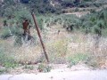 Sloping Plot In Karoti