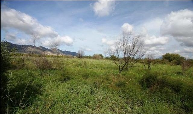 Plot For Sale Benidoleig - Ref: 2618 - 2