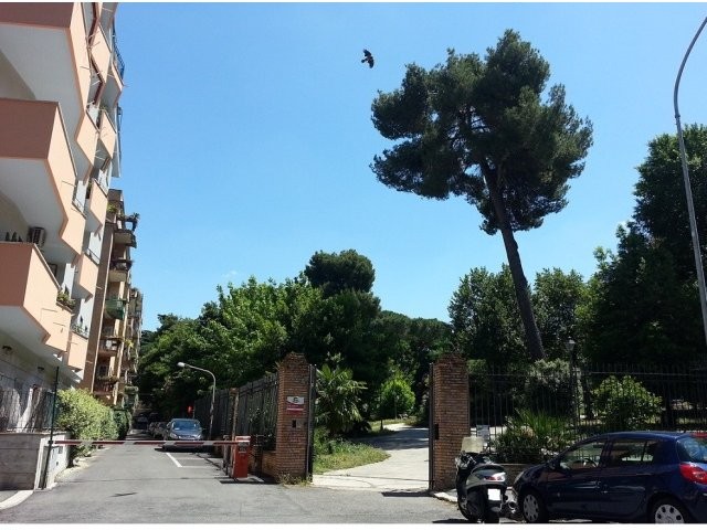 3 Bedrooms - Apartment - For Sale