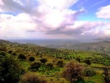 South Crete Property - 2