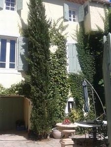 Superb Village House Fully Renovated..