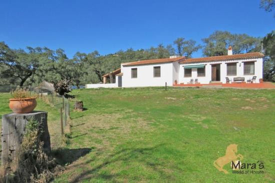 se vende complejo turismo casa rural..