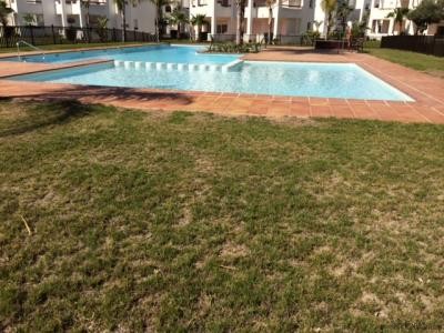2 Bedrooms - Penthouse - Murcia - For.. - 2
