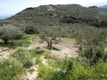 West Crete Land