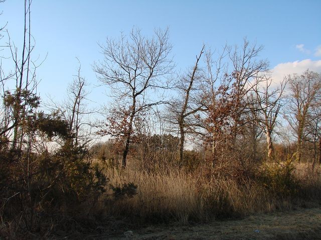 Vente Terrain St Paul La Roche
