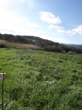 Land For Sale In Crete - 2