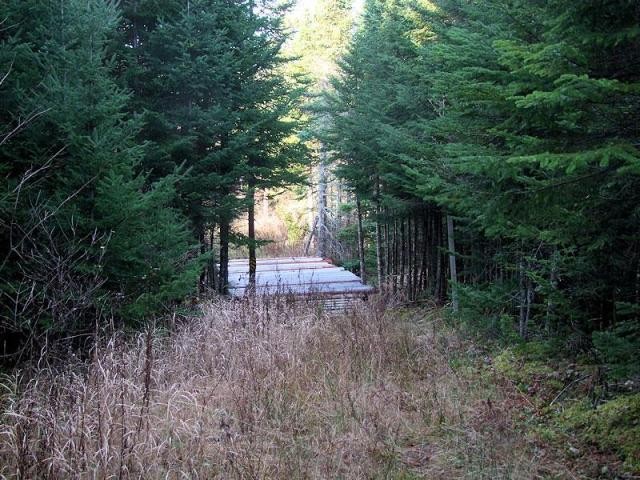 Land For Sale: Lots Big Farm Road Big.. - 2