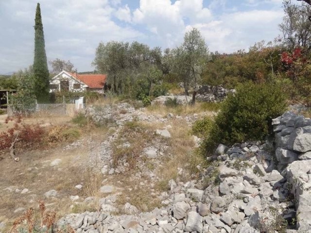 Land in Mrkovi, Luštica