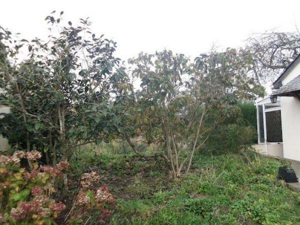 Habitable Village House, Good Holiday.. - 2