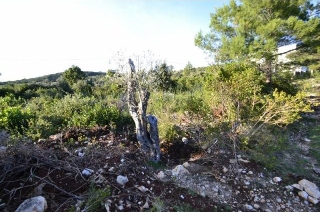 Land in Veslo, Herceg Novi - 2